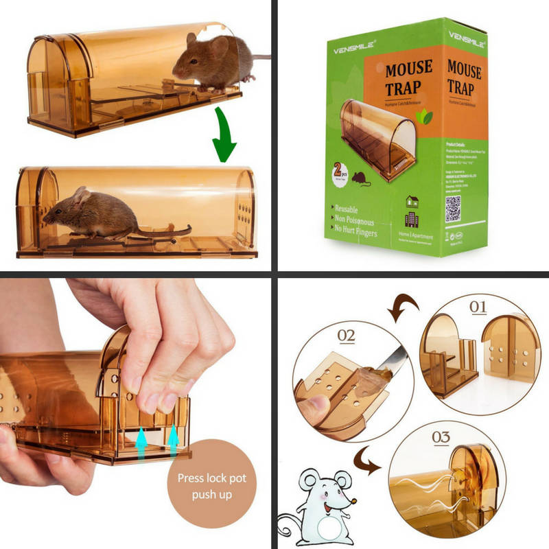 Se débarrasser des souris sans les tuer les options efficaces — free download